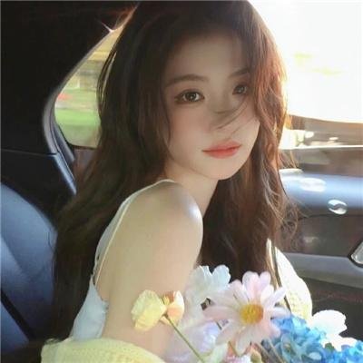 惑星公主蜥蜴骑士