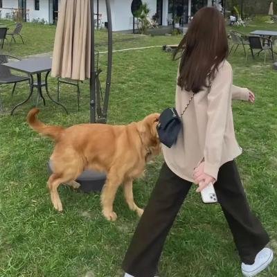 秘密的时光
