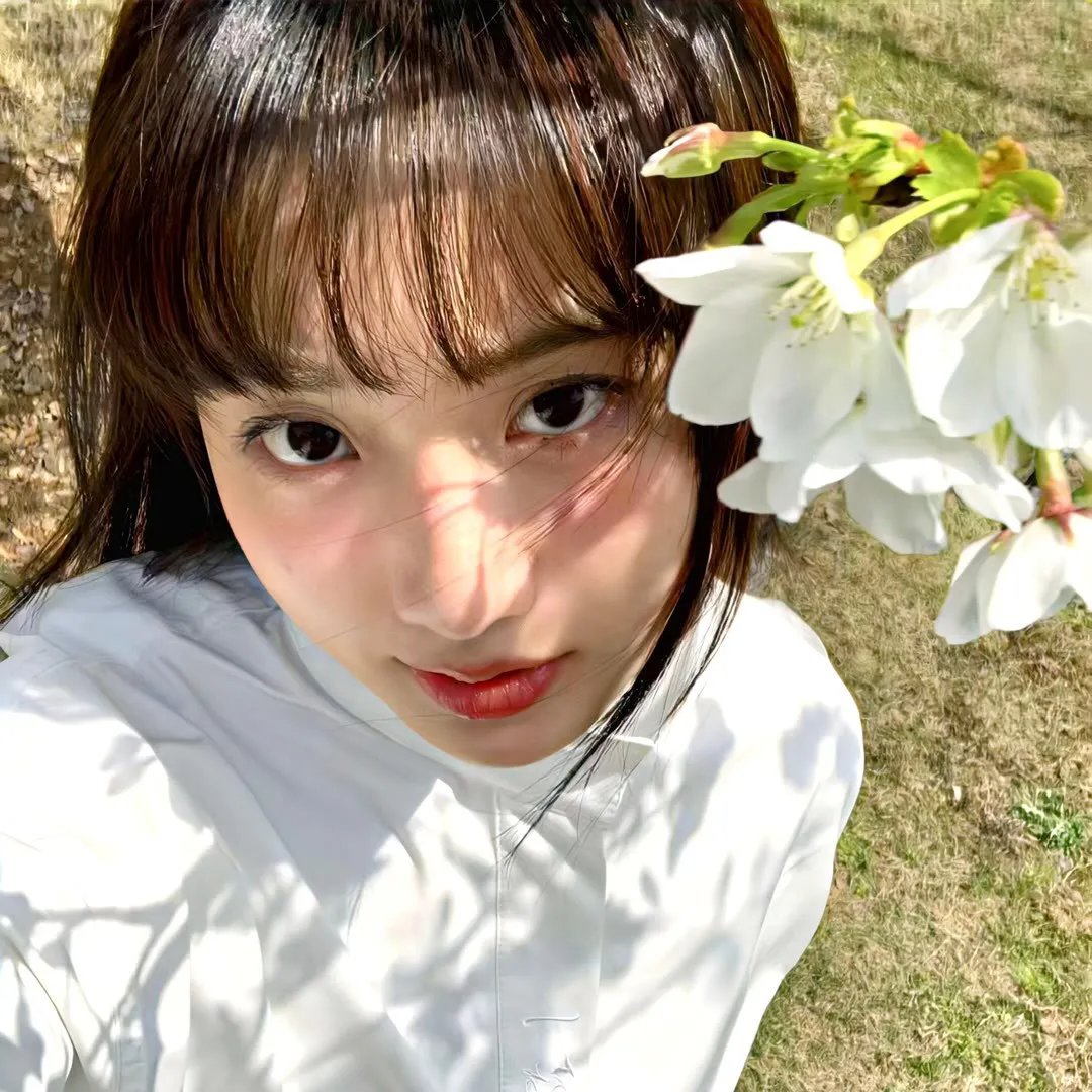 藏珠